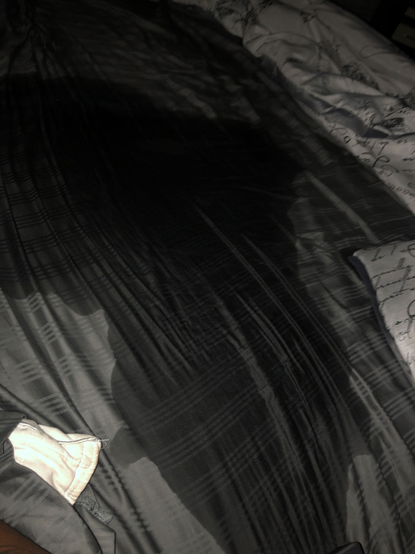 Banner of nofacesensei