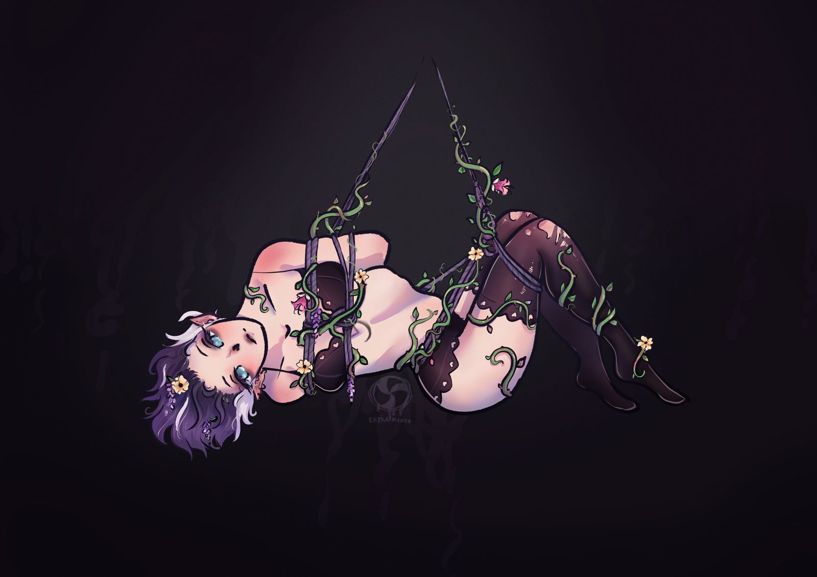 Banner of nyxcostella