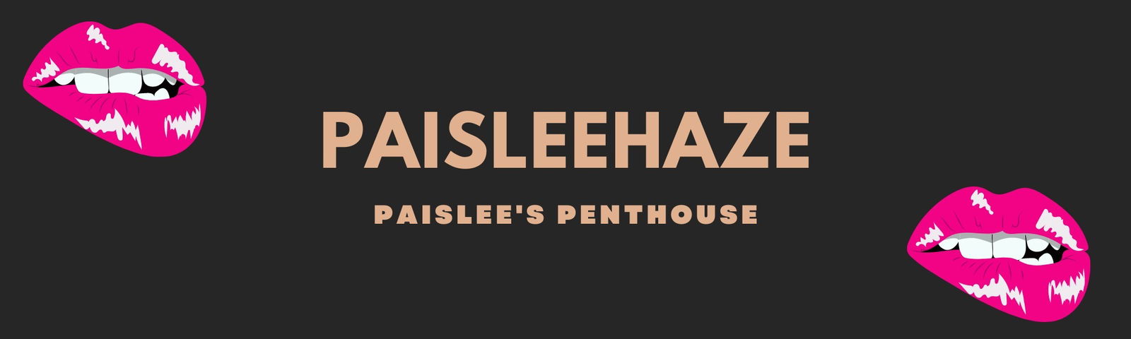 Banner of paisleehaze