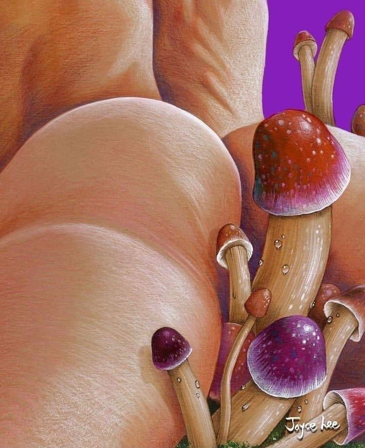 Banner of peaachess__