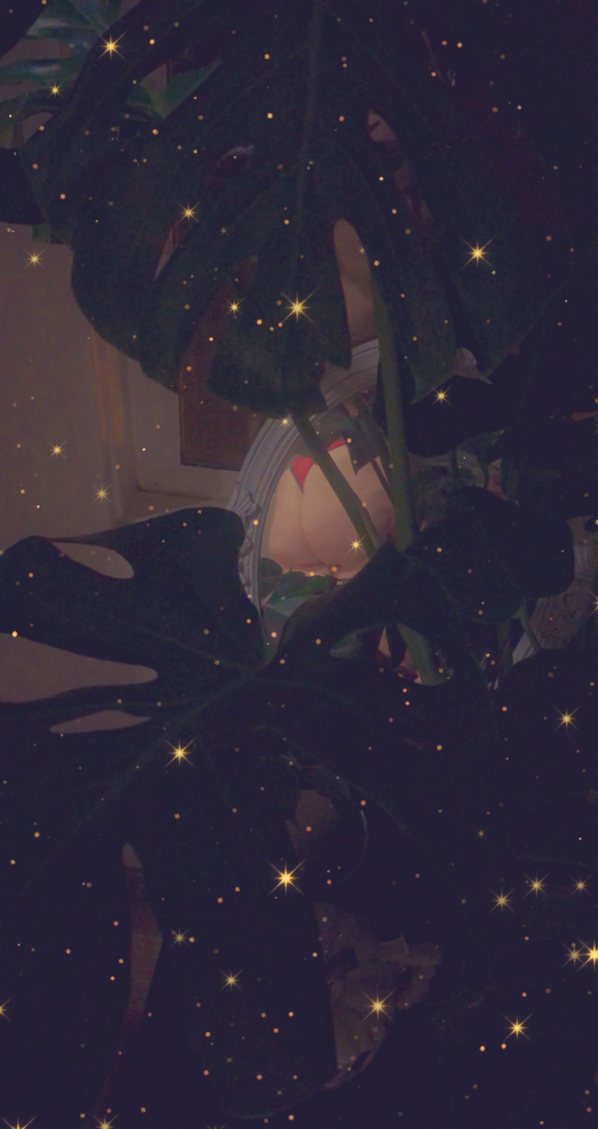 Banner of priincess.peachh