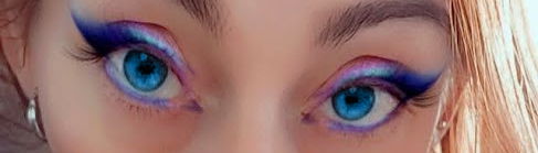 Banner of profemilf