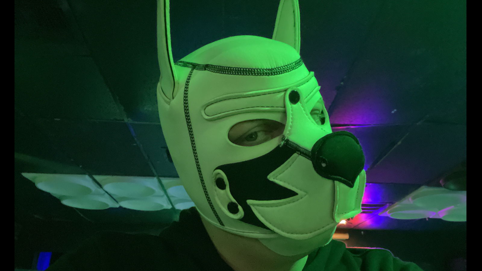 Banner of pupdaxjs