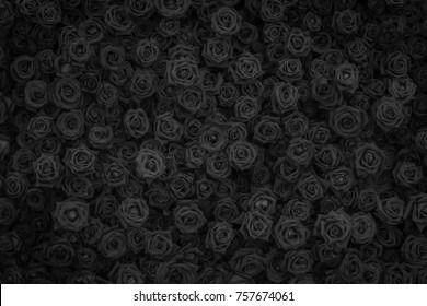 Banner of rainenoelle