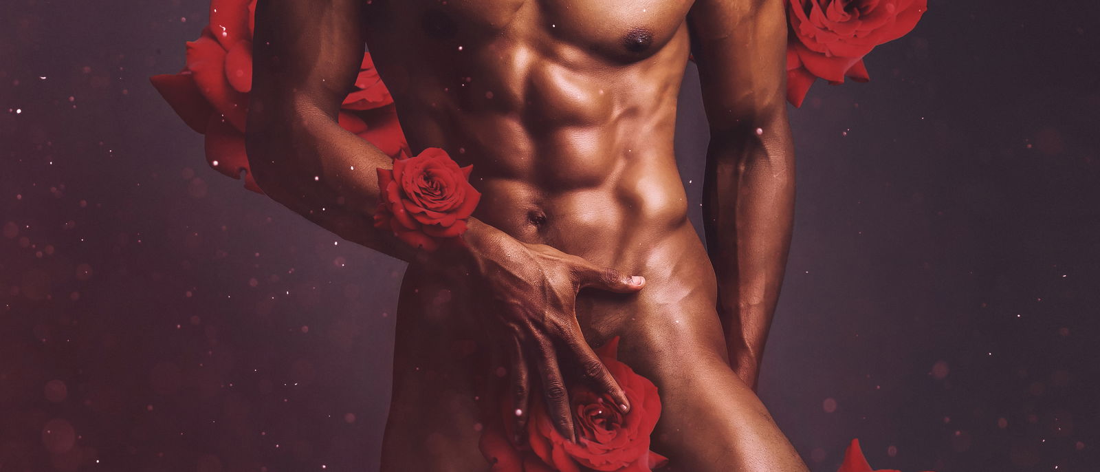 Banner of randygopronyc