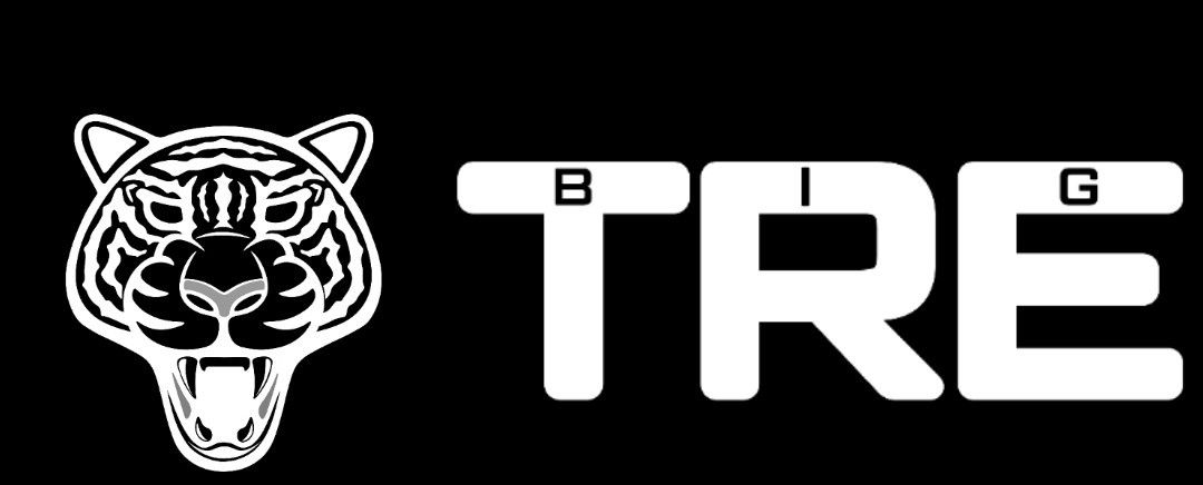 Banner of realbigtre