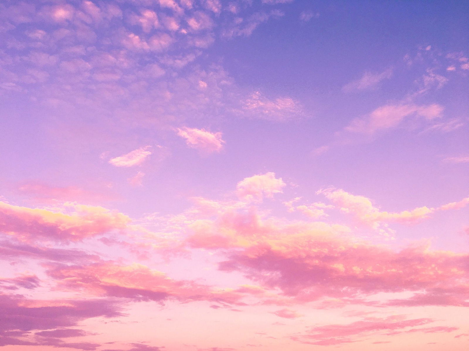 Banner of rileynixonfree