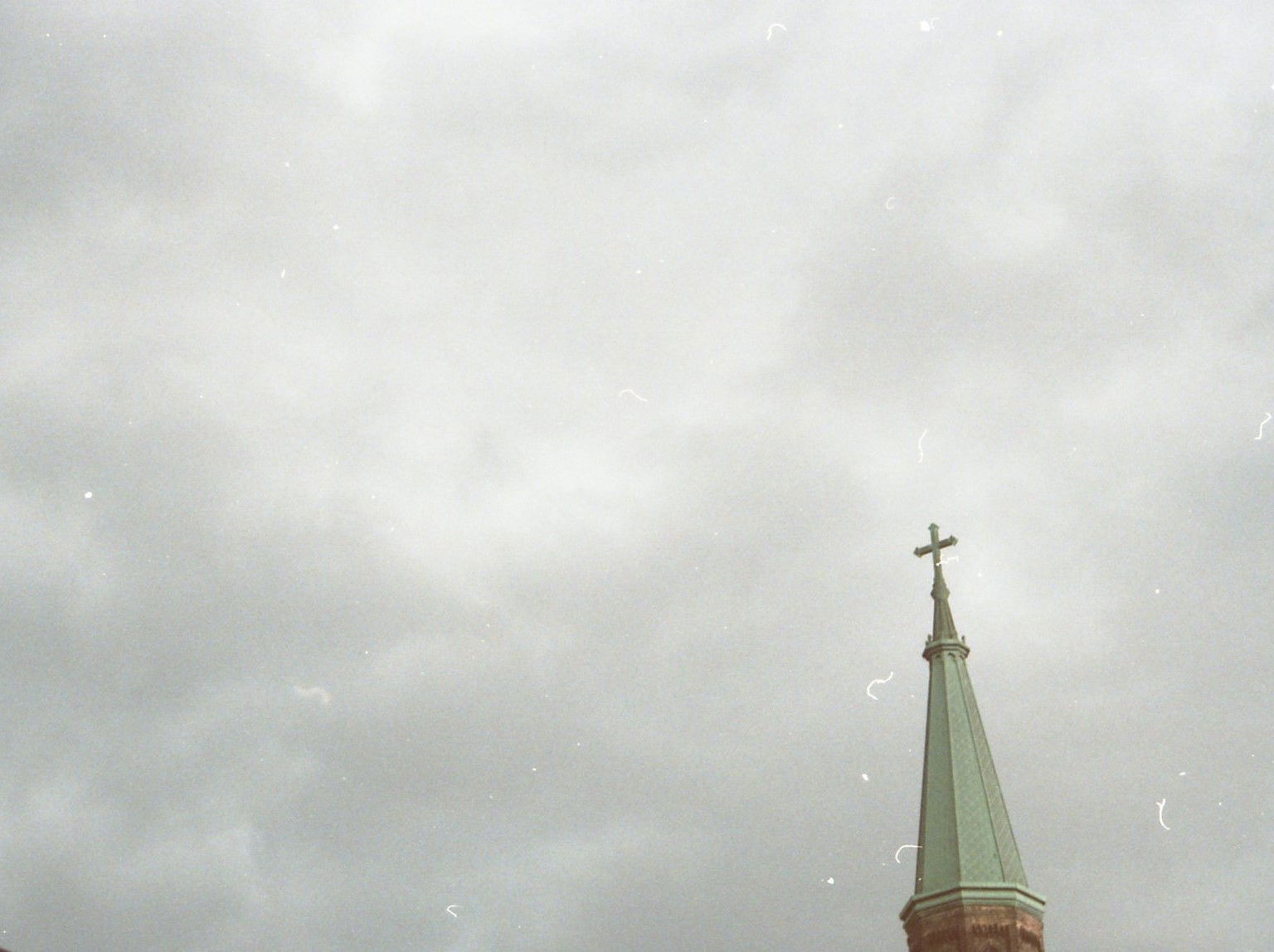 Banner of s34gr33n