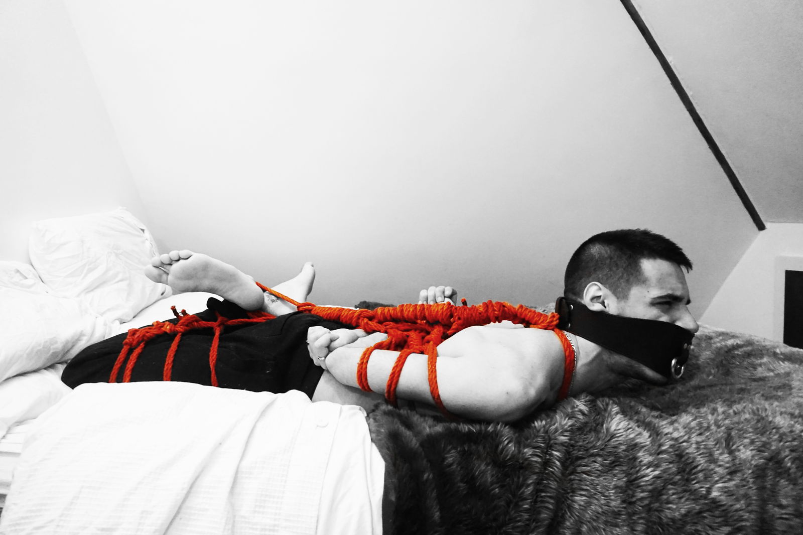 Banner of safeandbound
