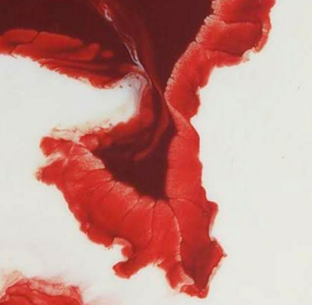 Banner of sangdulait