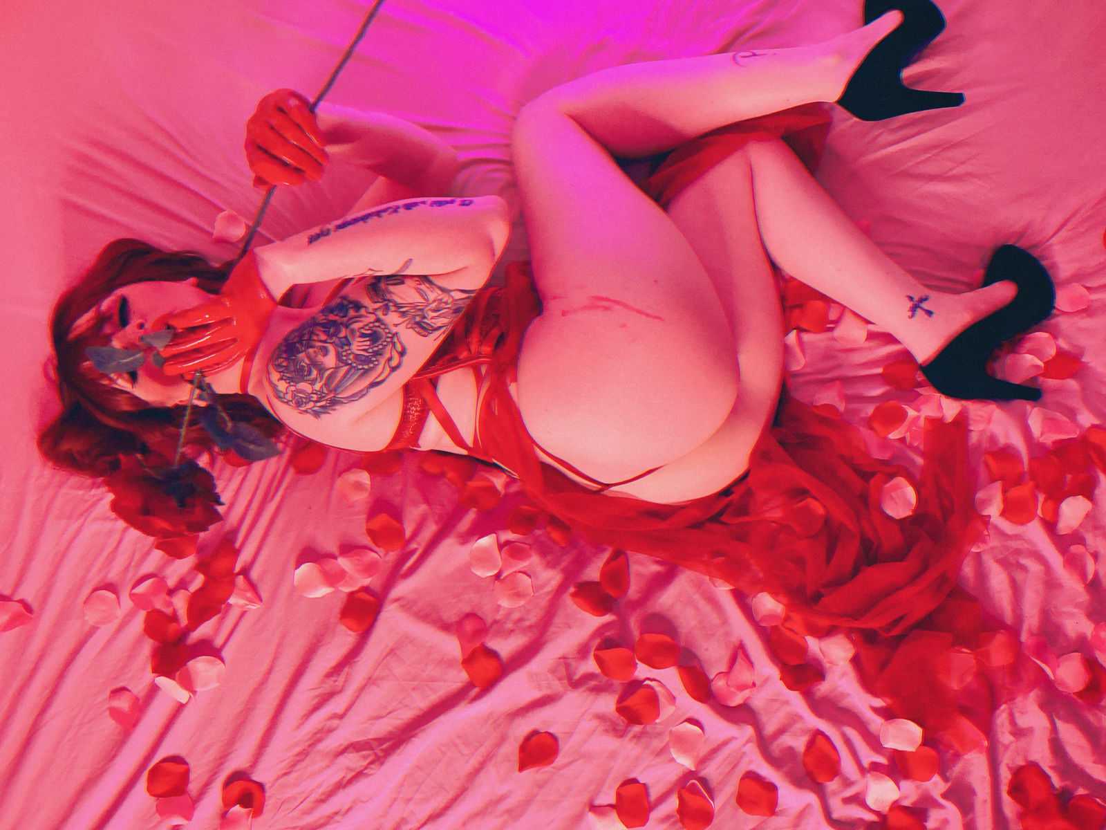 Banner of sexxxdreamz