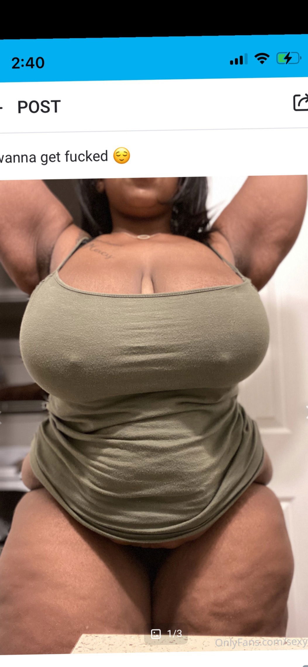 Banner of sexyginae