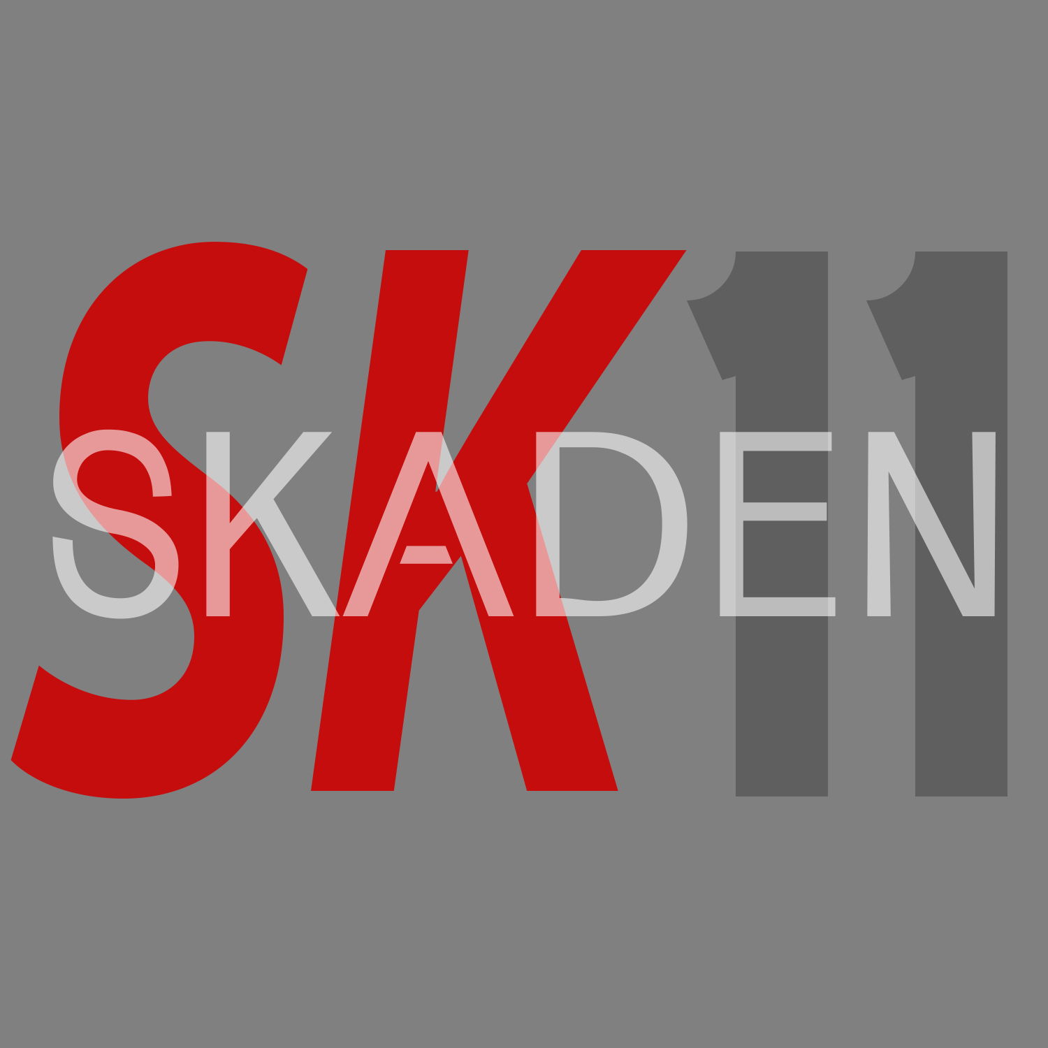 Banner of skaden11