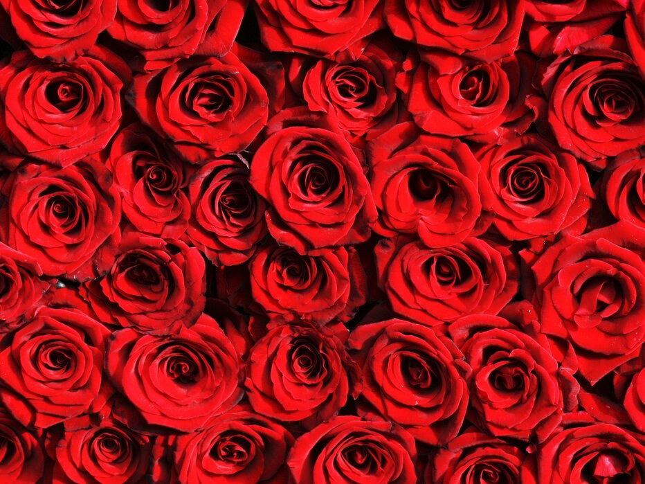 Banner of smoph