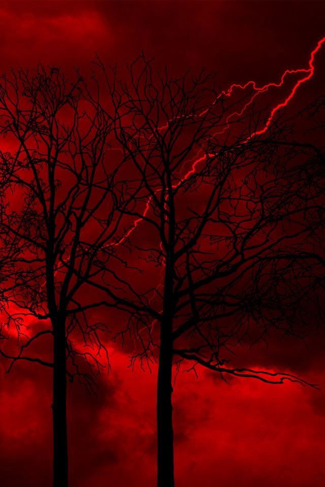 Banner of starboy_scotti