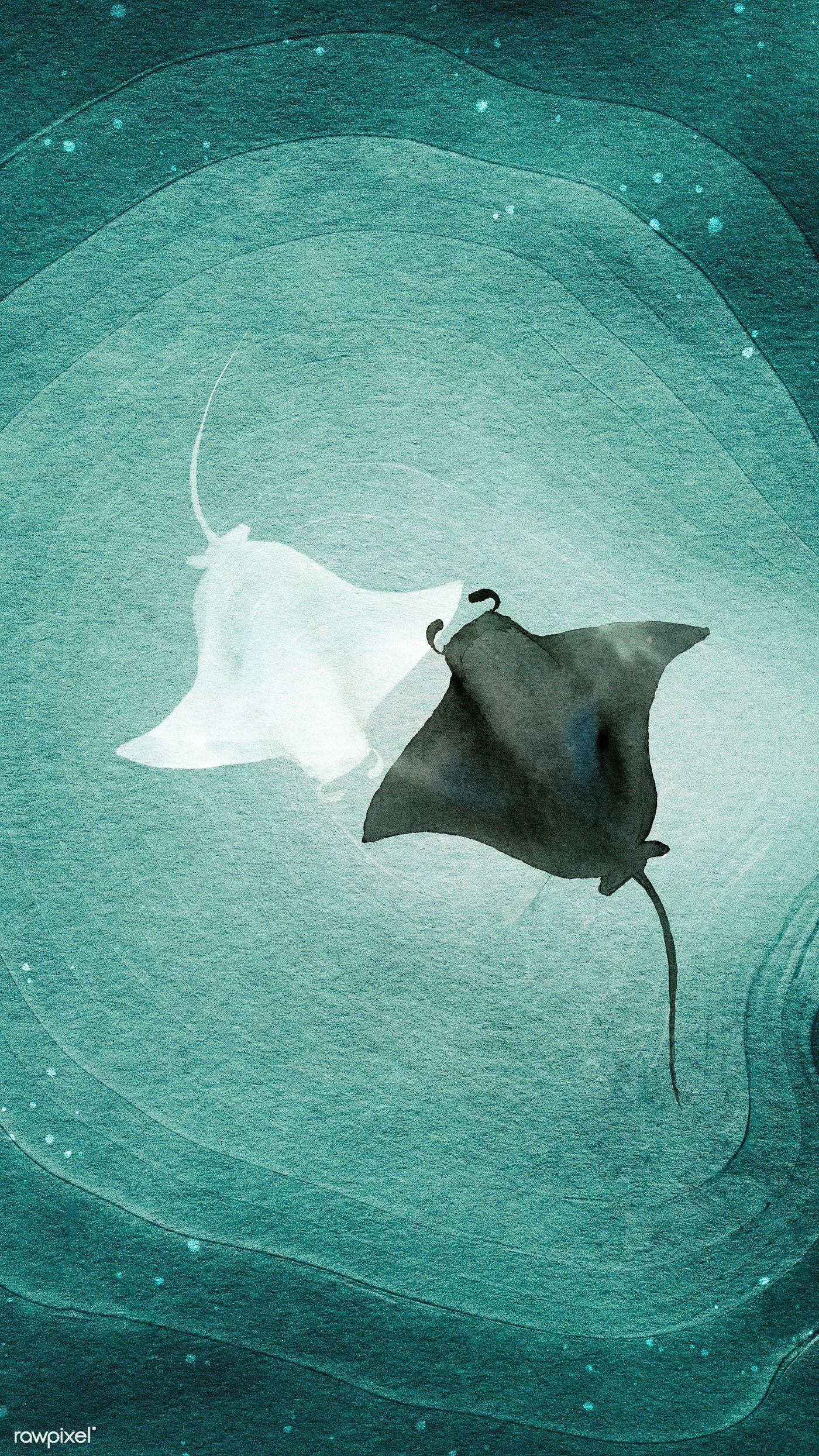 Banner of stingraish