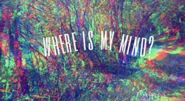 Banner of stonerbugg420