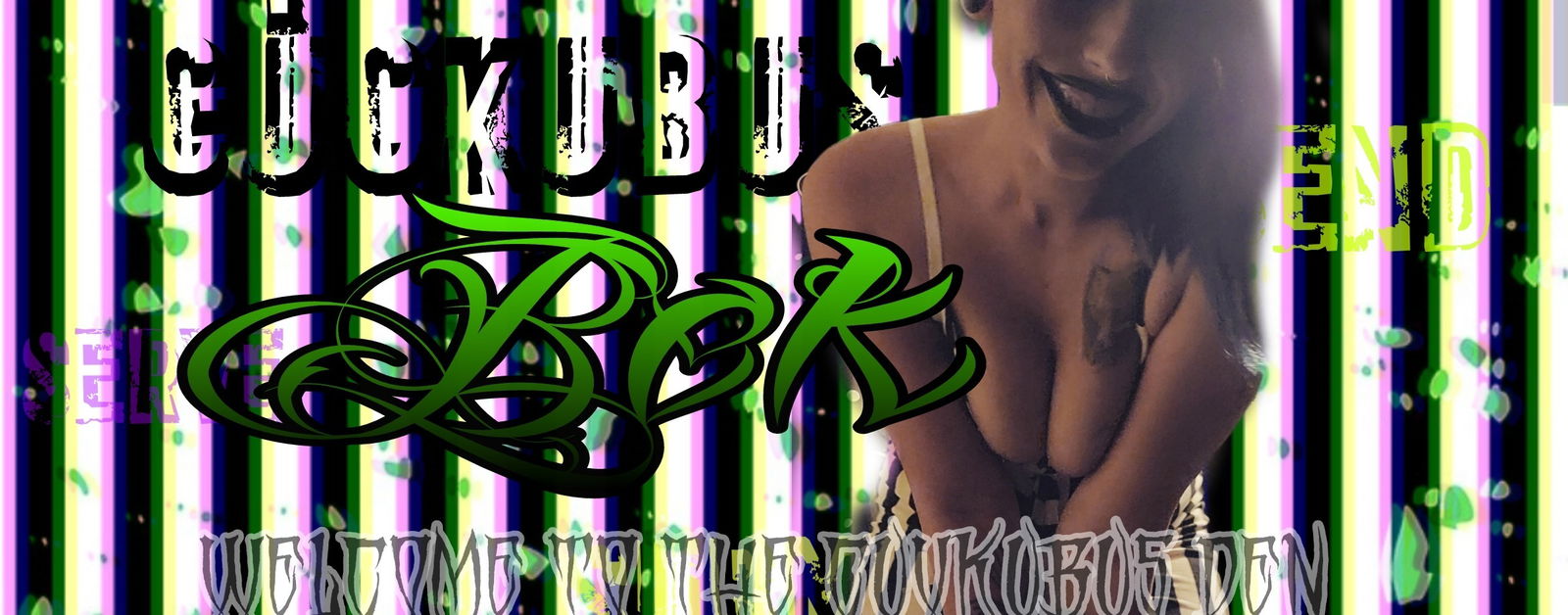 Banner of succubusbek