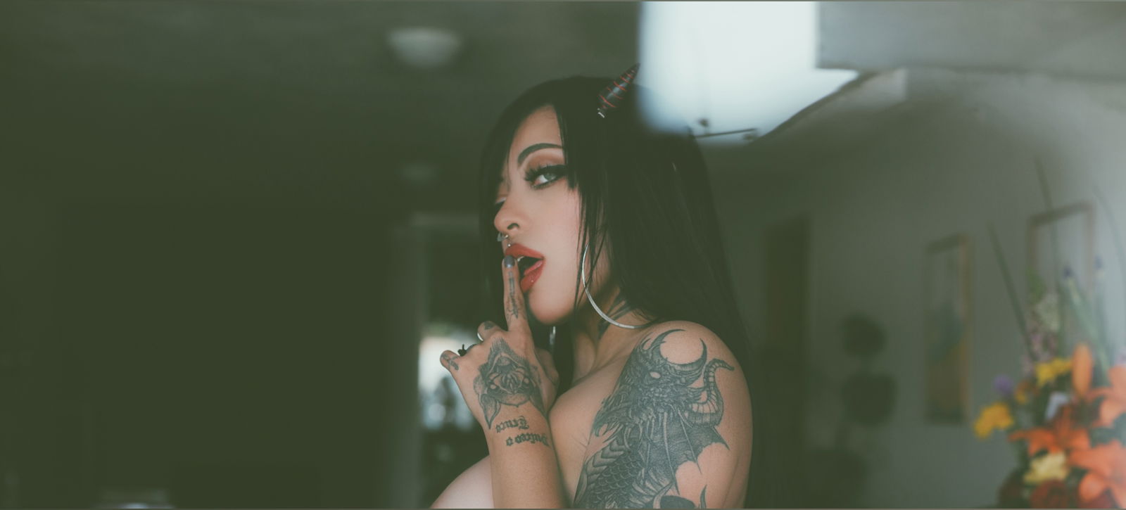 Banner of succubusmess