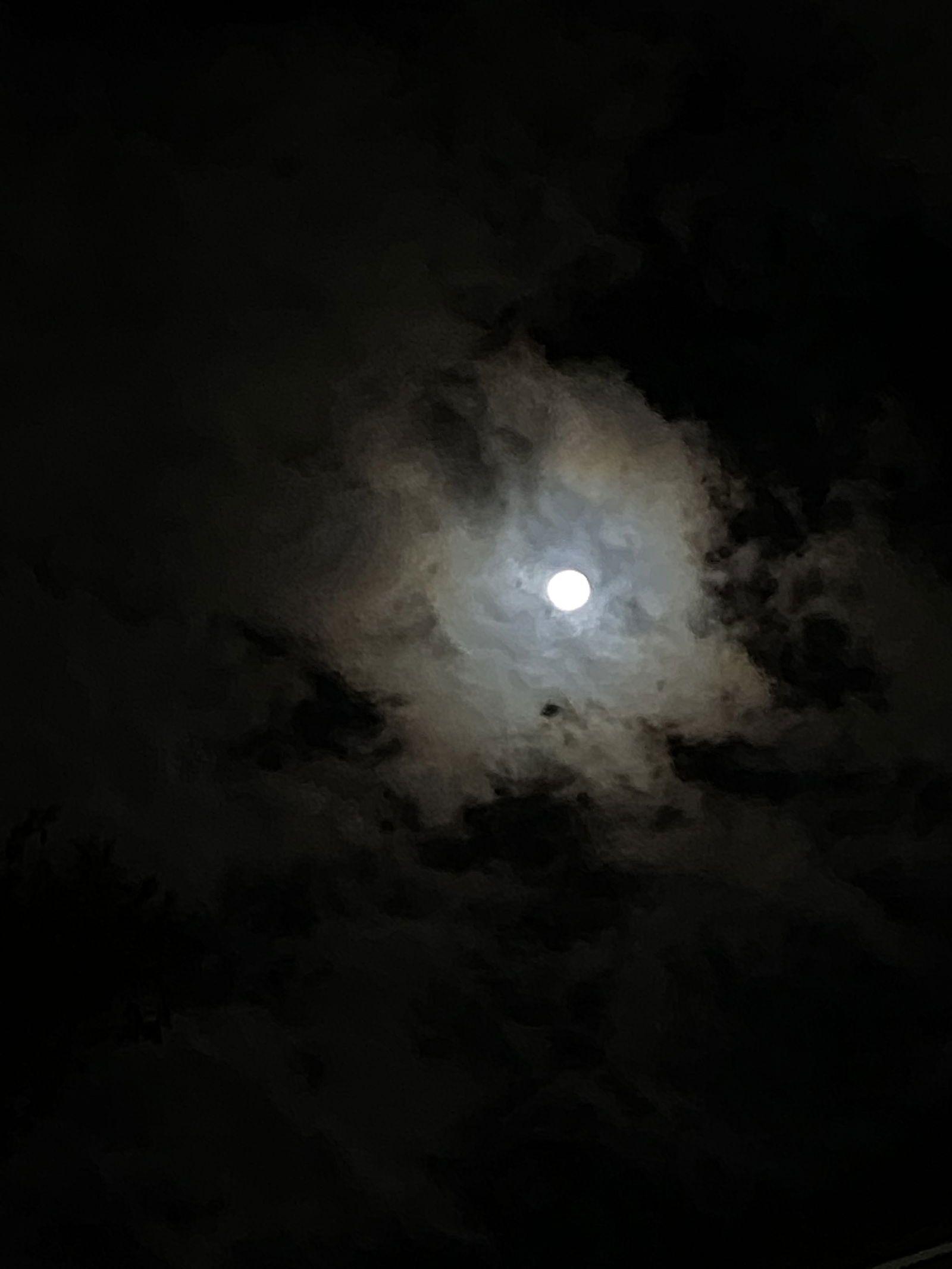 Banner of sxnnybxnks