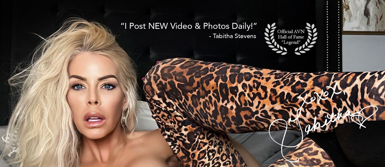 Banner of tabithastevens