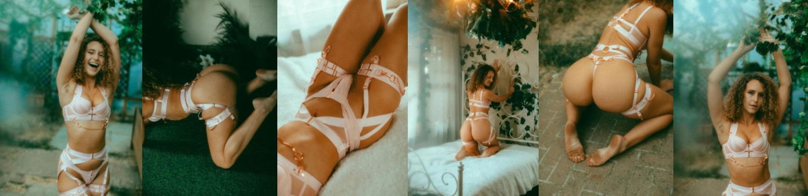 Banner of thegingerbanks