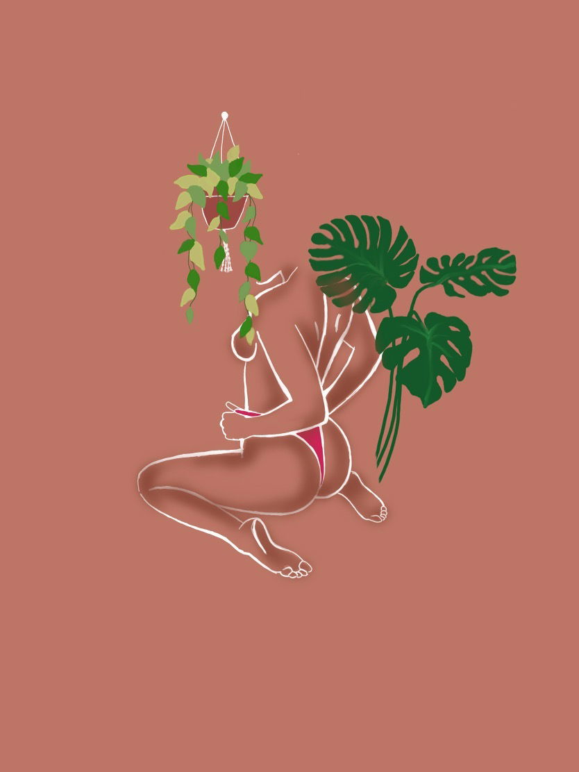 Banner of theplantmom25
