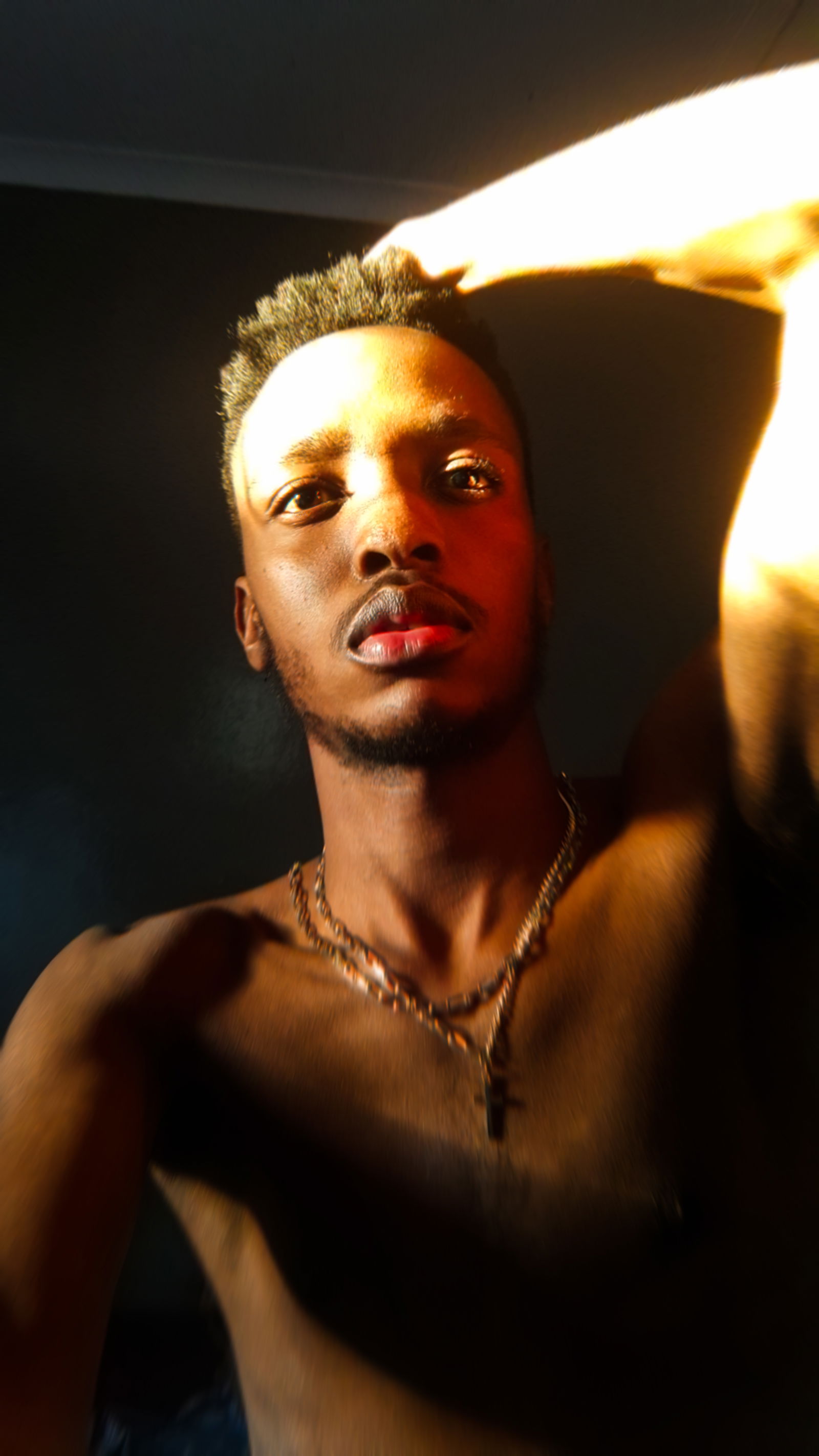 Banner of theprettyking