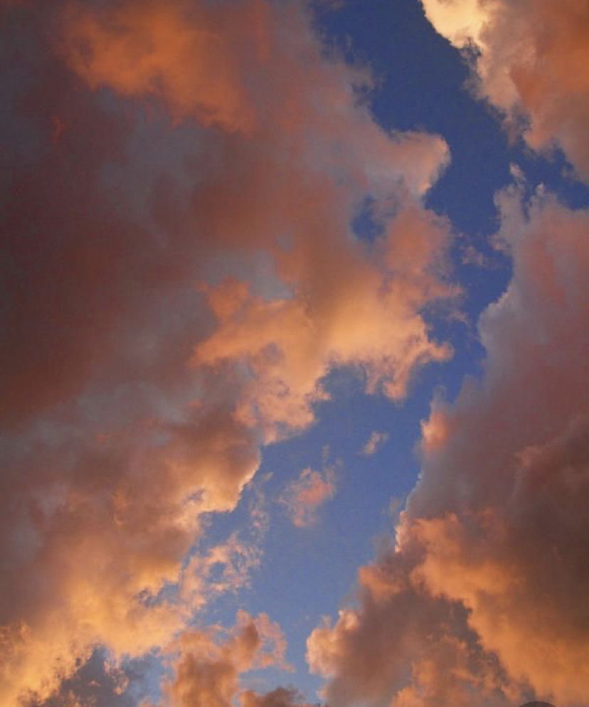 Banner of tootsiecloud