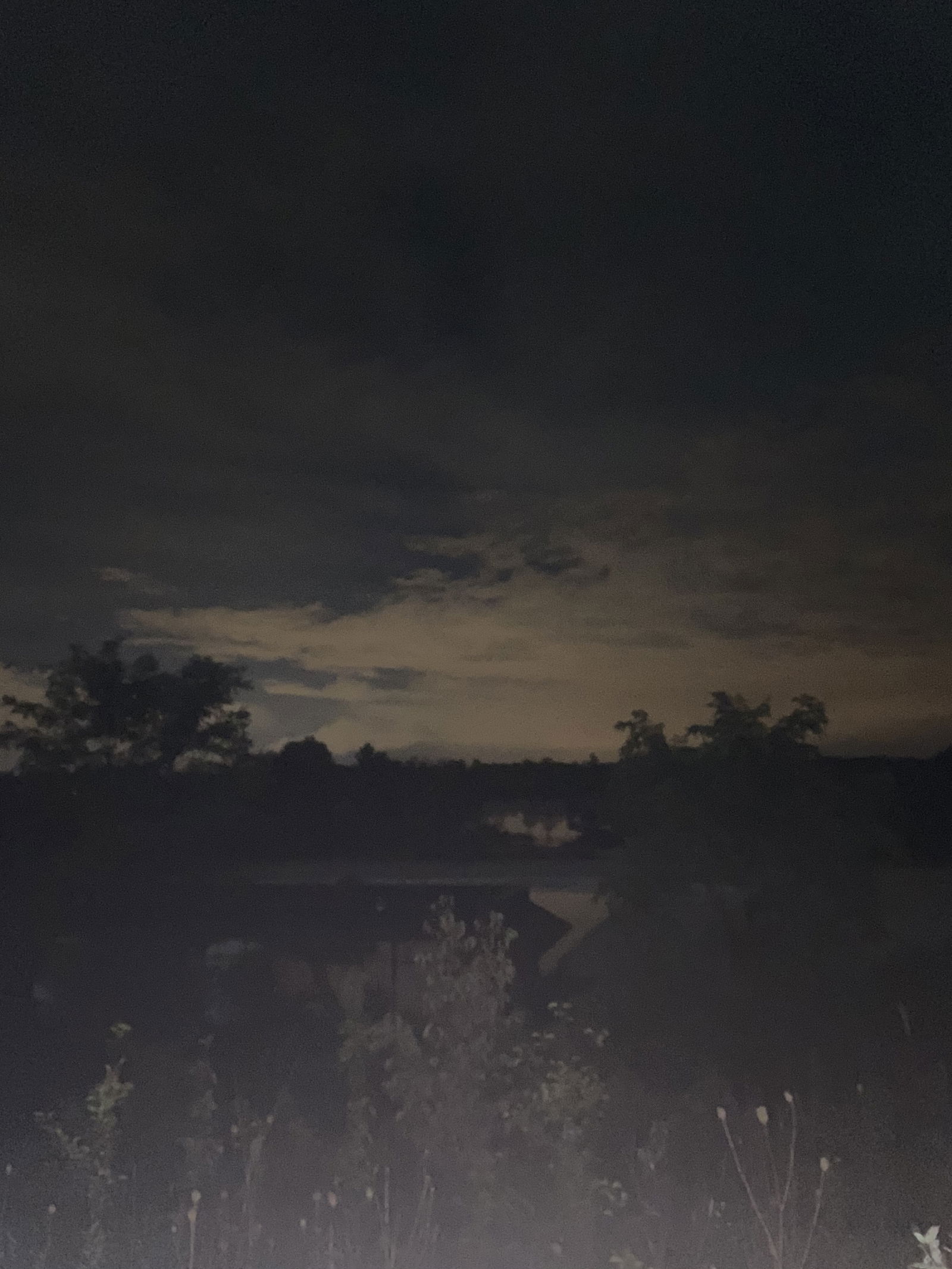 Banner of tuesdayfknmarie