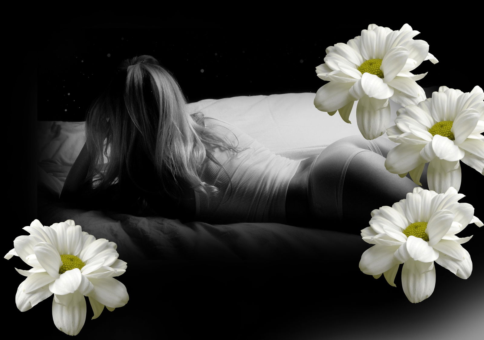 Banner of u74682248