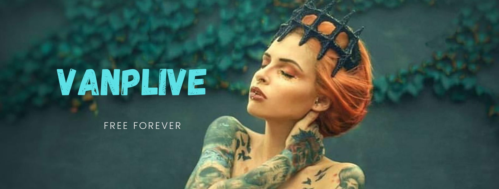 Banner of vanplive