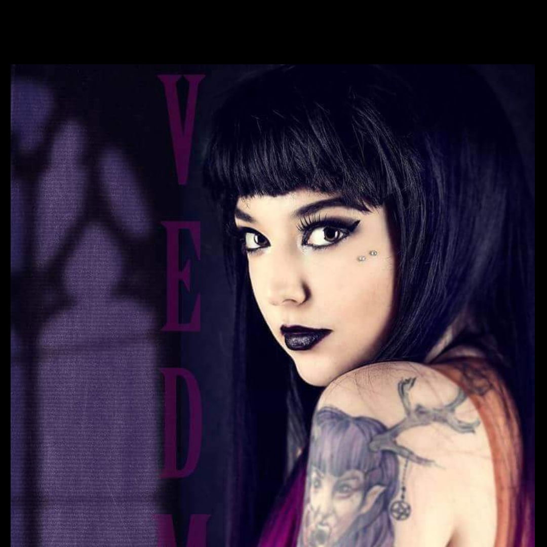 Banner of veedma