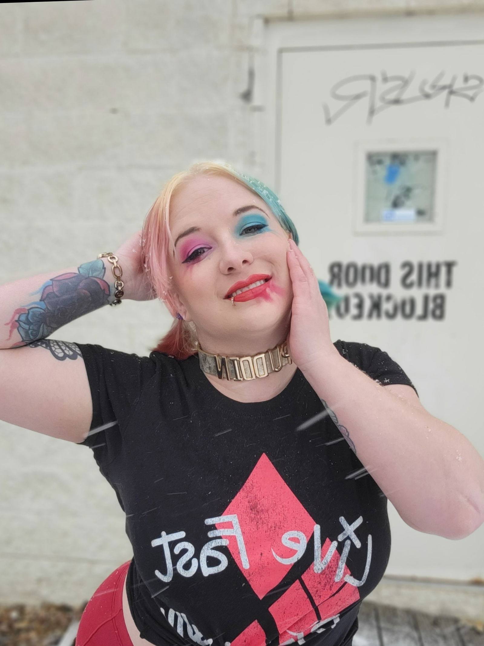 Banner of vickidoll