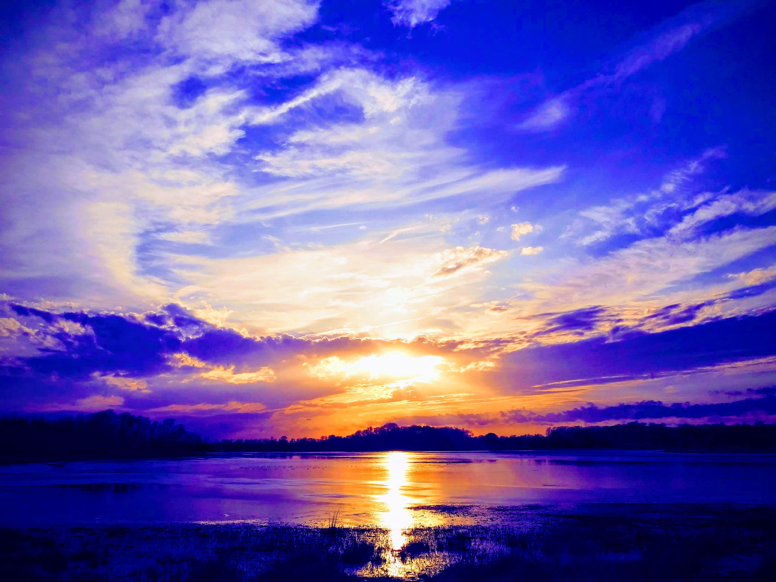 Banner of violet0333