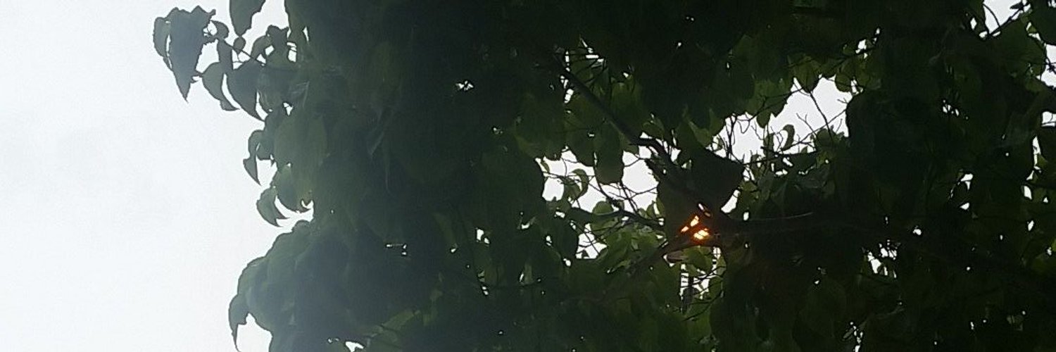 Banner of whonome