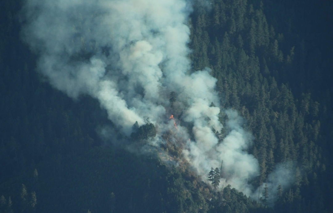 Banner of wildfireboy