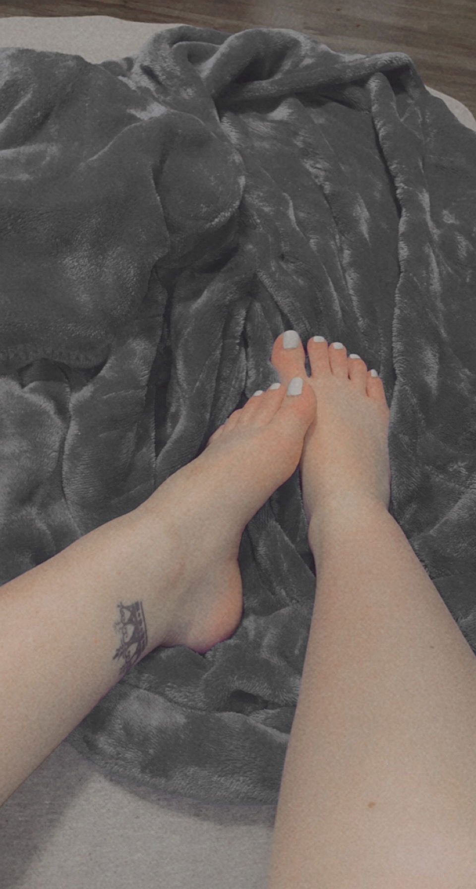 Banner of xoxo_ayla