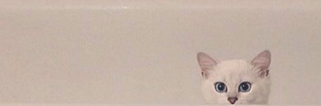 Banner of xxxbaylee